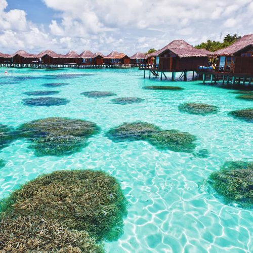 When is the best time to visit the Maldives?