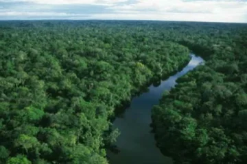 A Floresta Amazônica